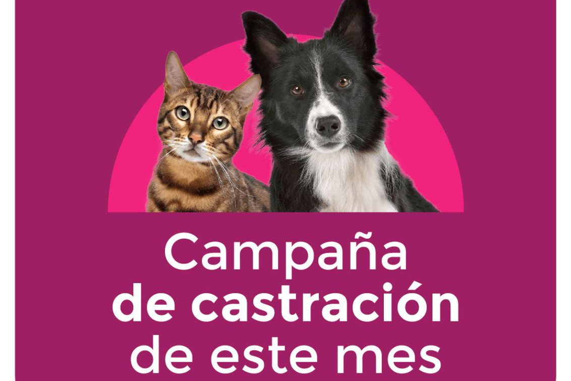 Campaña Gratuita de Castración y Vacunación Antirrábica