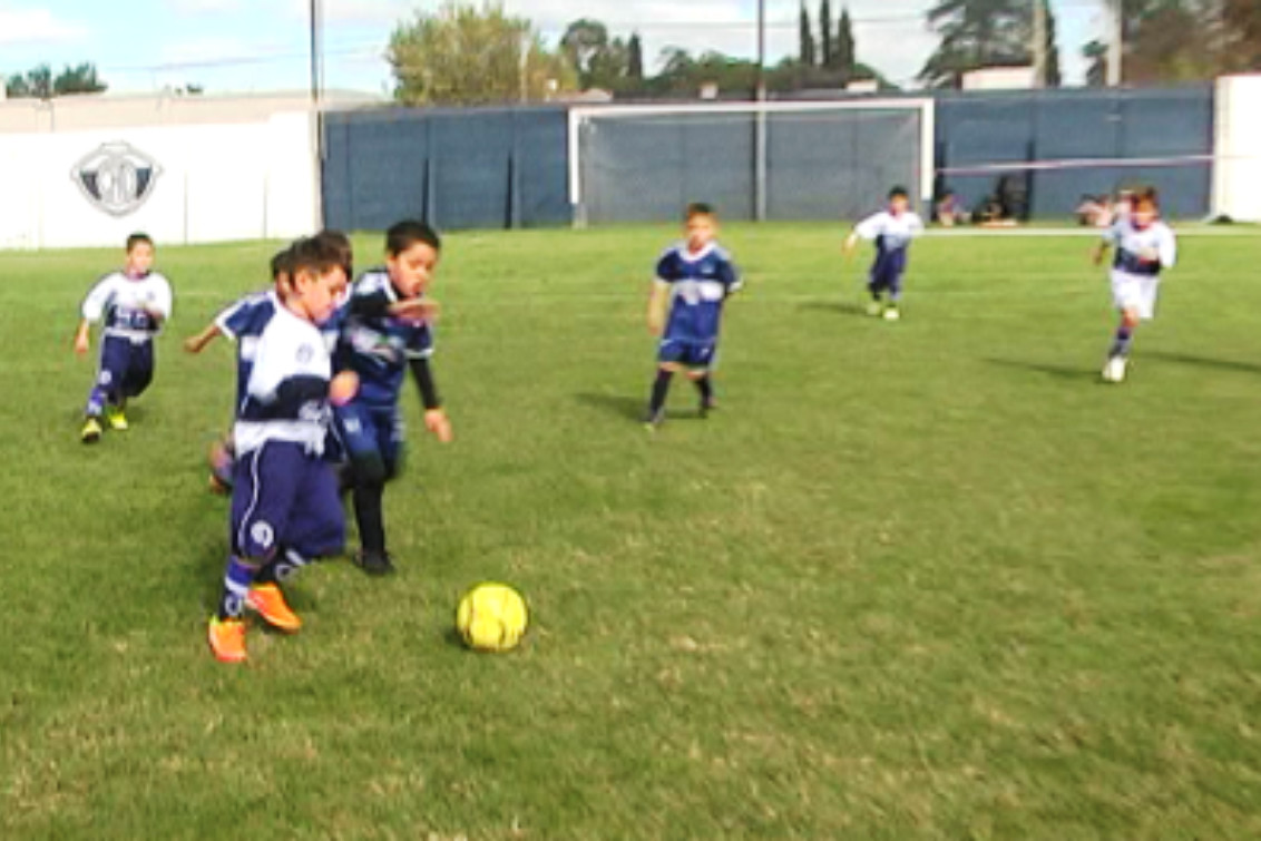 Semillero de emociones