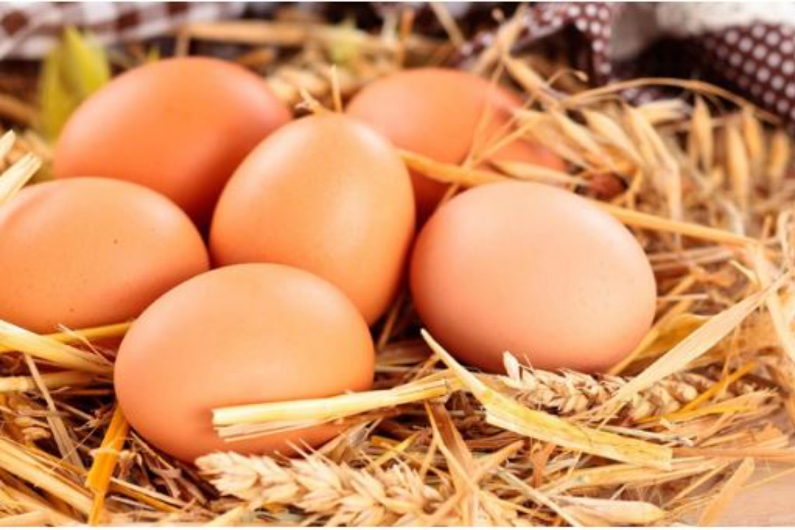 Cinco mitos sobre el consumo del huevo en la dieta