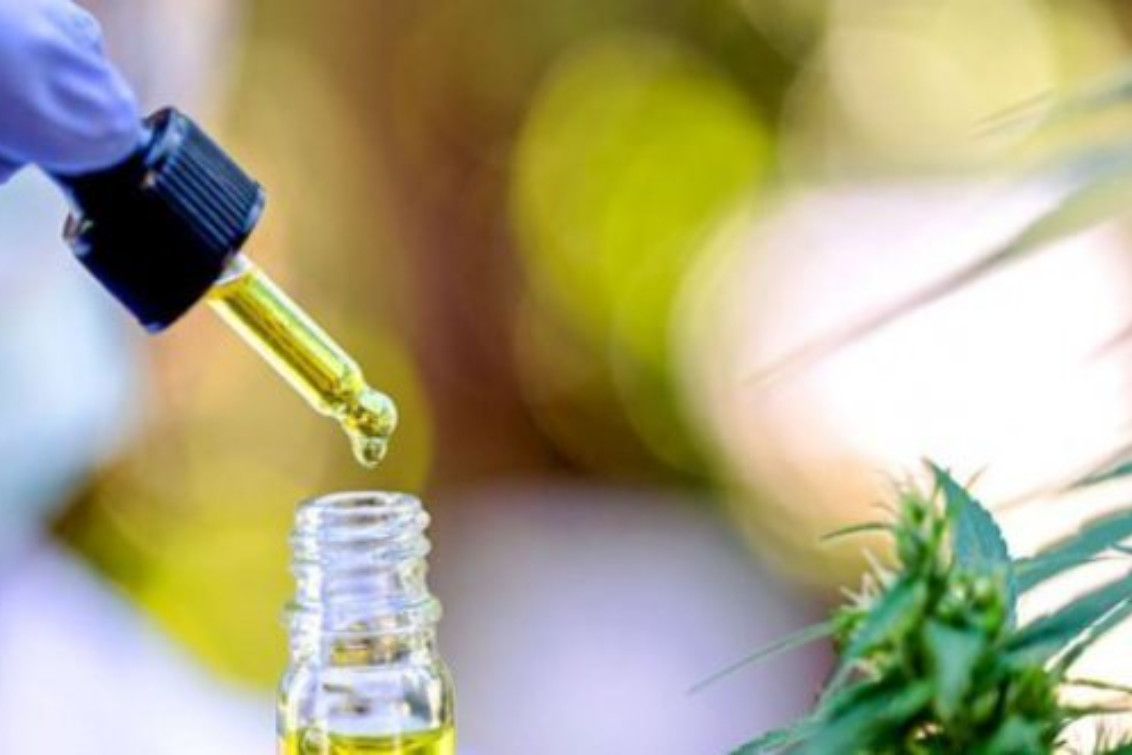  Dorrego y la provincia de Jujuy firman acuerdo de trabajo por el cannabis medicinal