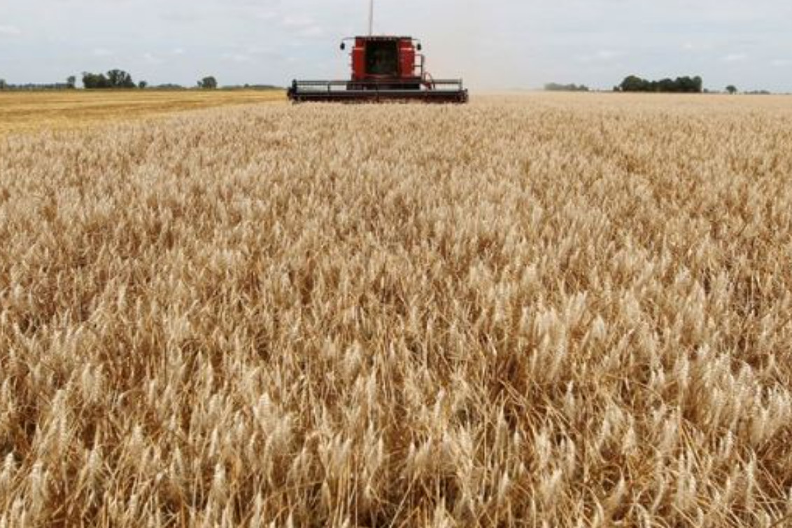 La Federación Agraria por la rebaja de retenciones: “No genera certeza ni beneficia al campo chico