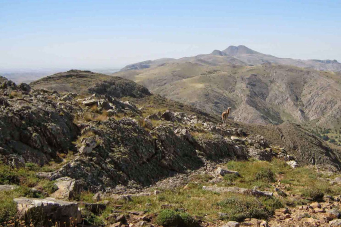 Villa La Arcadia prepara su primera Fiesta del Amor al pie del Cerro del Amor