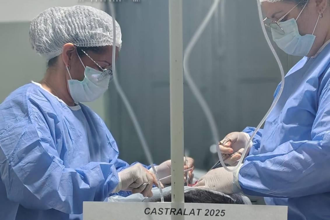 BALANCE POSITIVO DE LA CAMPAÑA DE CASTRACIÓN Y VACUNACIÓN ANTIRRÁBICA EN INDIO RICO
