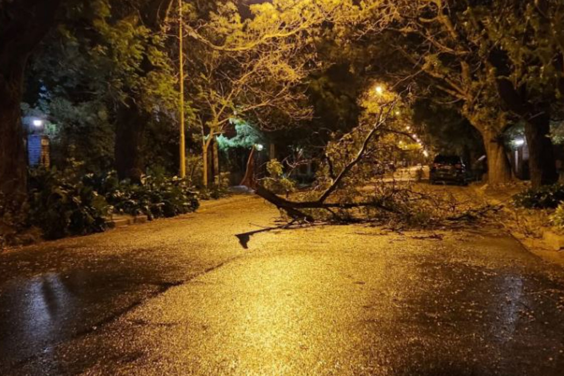 TRES ARROYOS: Temporal con ráfagas de más de 100 km/h provocó daños
