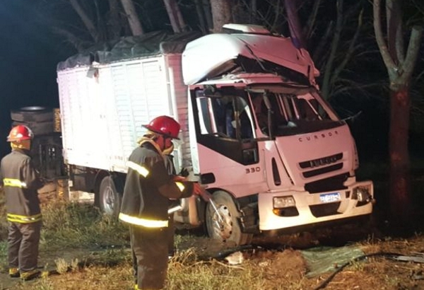MONTE HERMOSO: Un camión chocó contra un árbol 