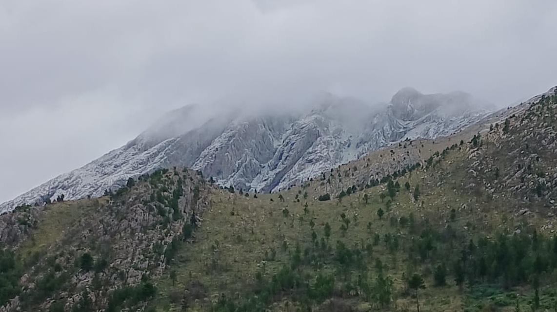 Nevó en la comarca serrana y las cumbres de Ventania se vistieron de blanco