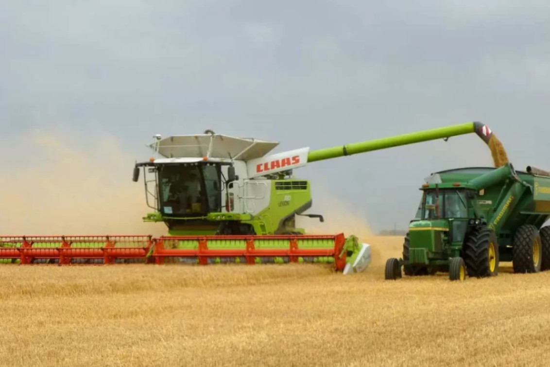 “Este año se vieron rindes de 3.000 y hasta 4.000 kilos, algo que en trigo no es tan fácil de lograr