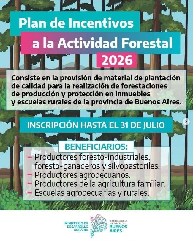 Plan de incentivo a la actividad forestal