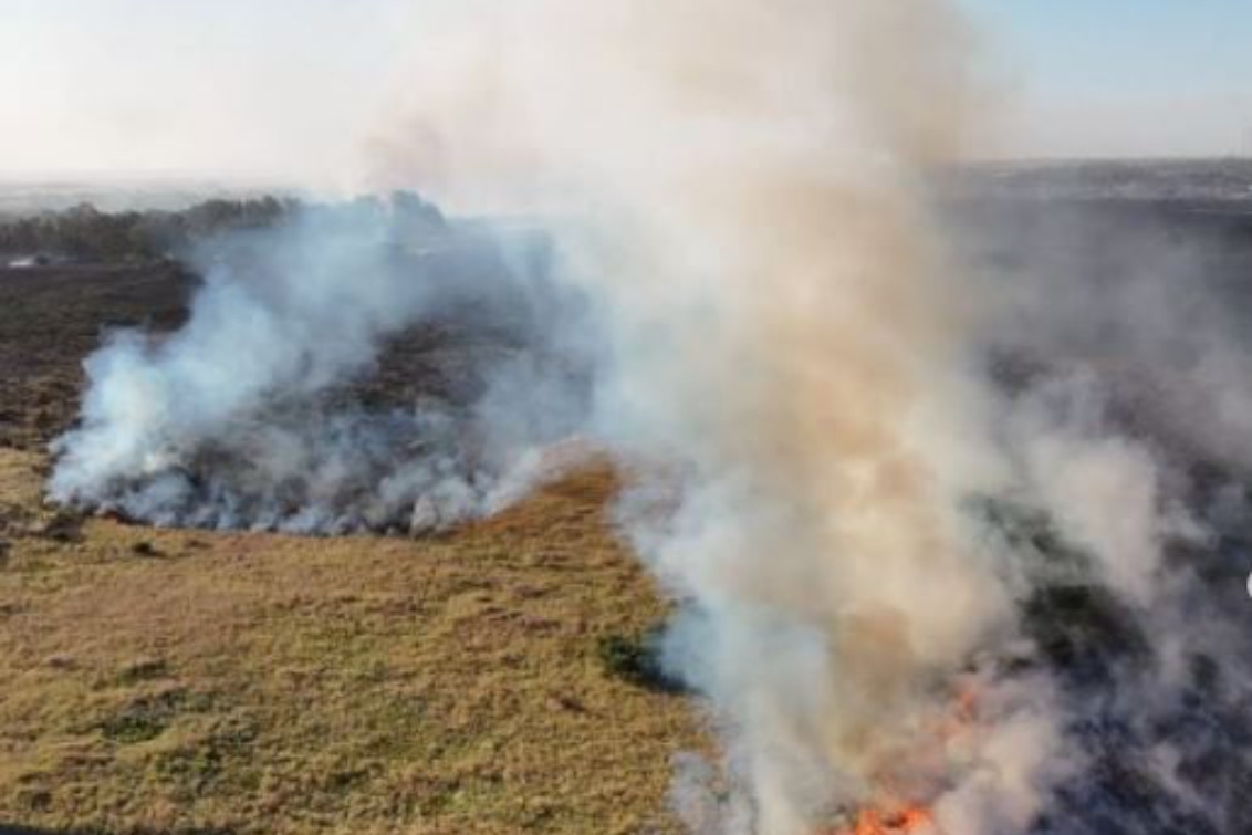   Alivio en Bahía Blanca: Lograron extinguir el incendio forestal en las tierras del Ejército