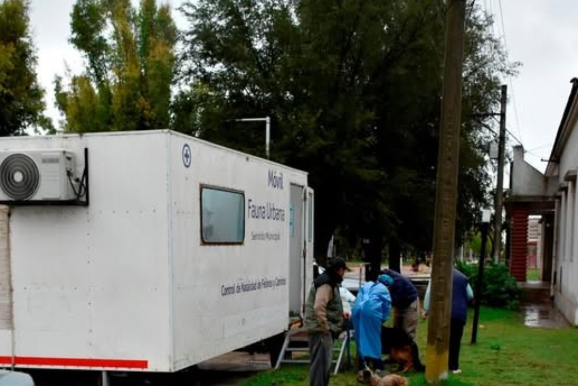 Nueva jornada de castración y vacunación gratuita con buena respuesta vecinal