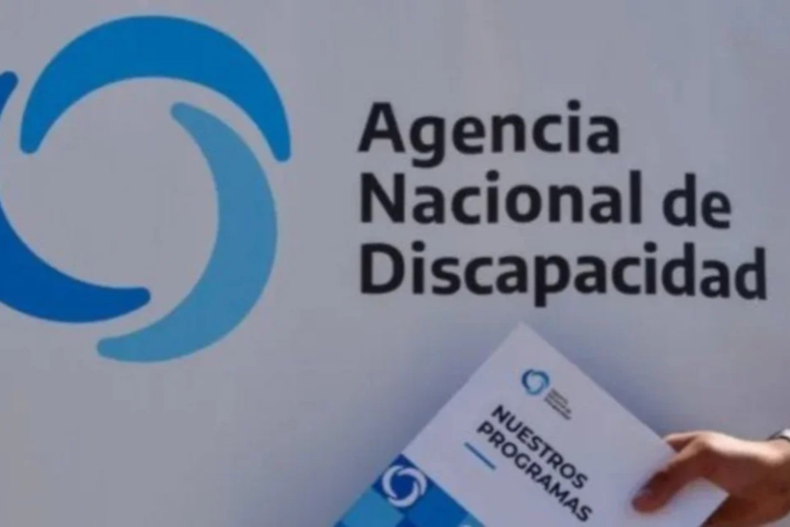 El Gobierno denunció irregularidades en la entrega de pensiones por discapacidad por 3.400 millones 