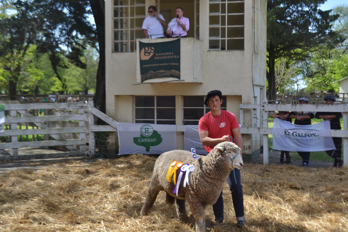  Cerró la exposición rural con la venta de reproductores 