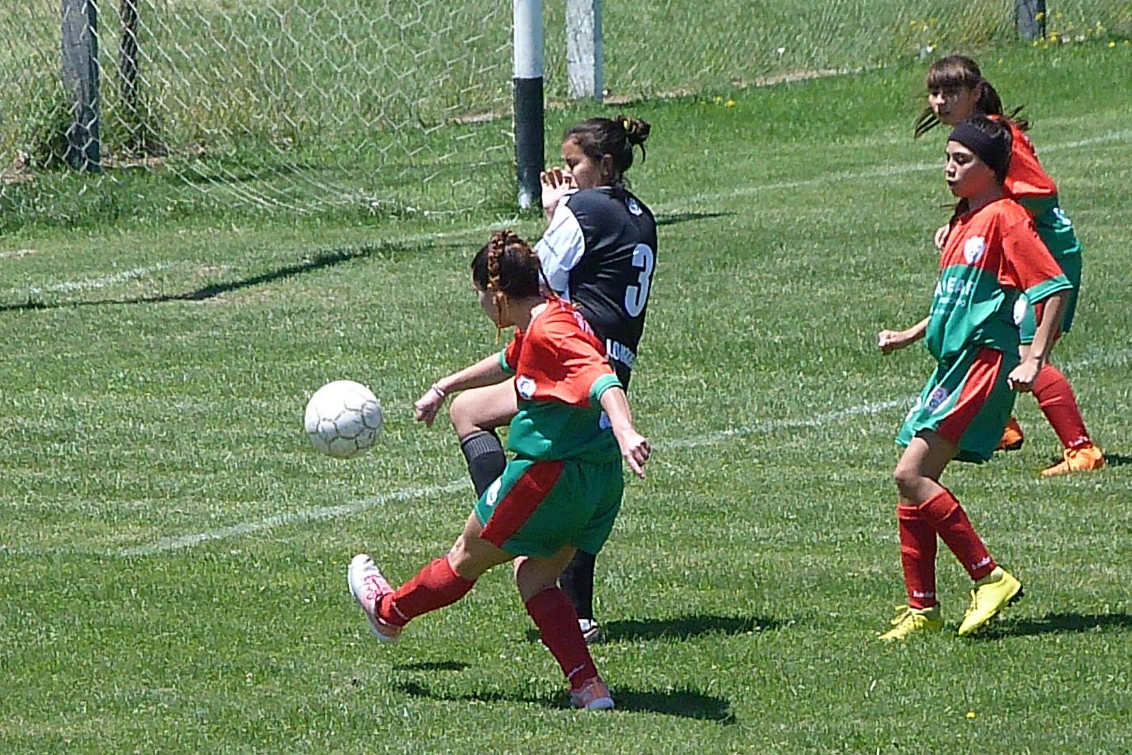 Pelota se asoma