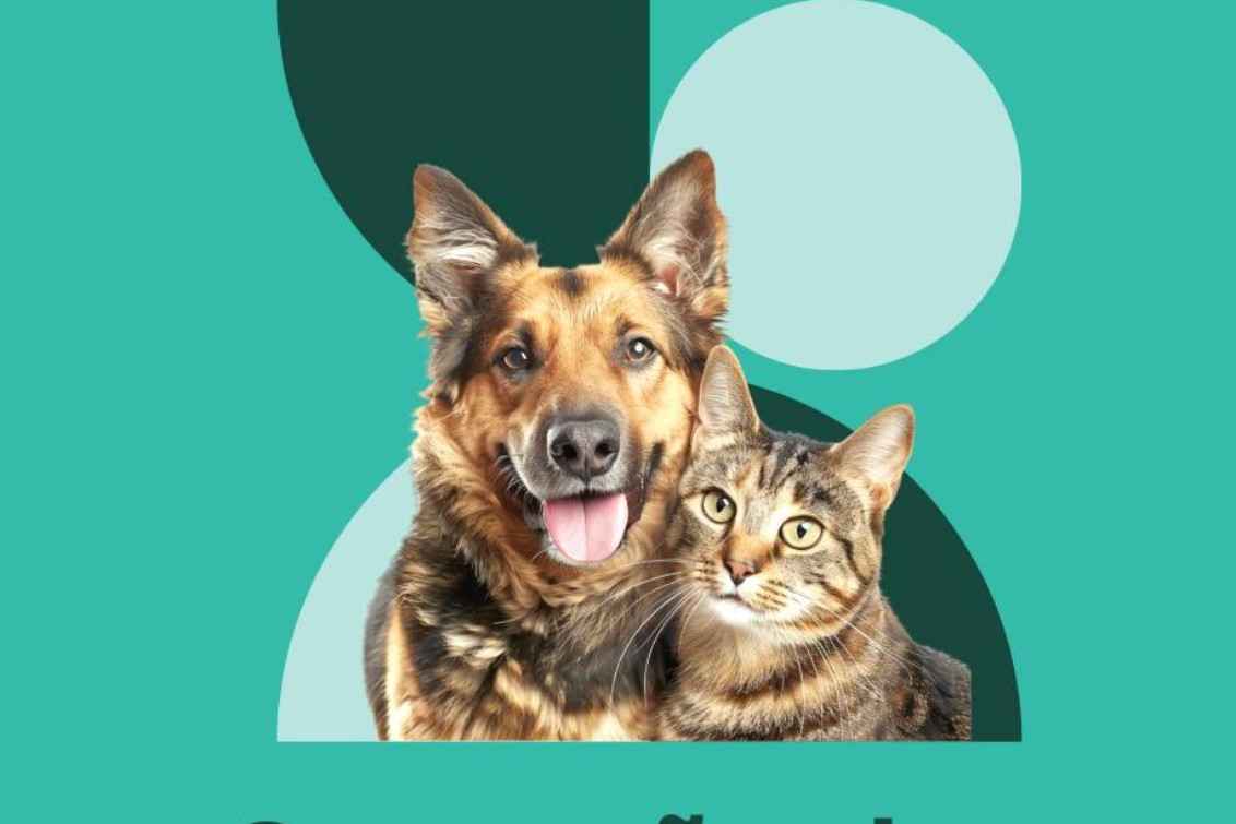 Indio Rico será sede de una nueva campaña de castración y vacunación antirrábica