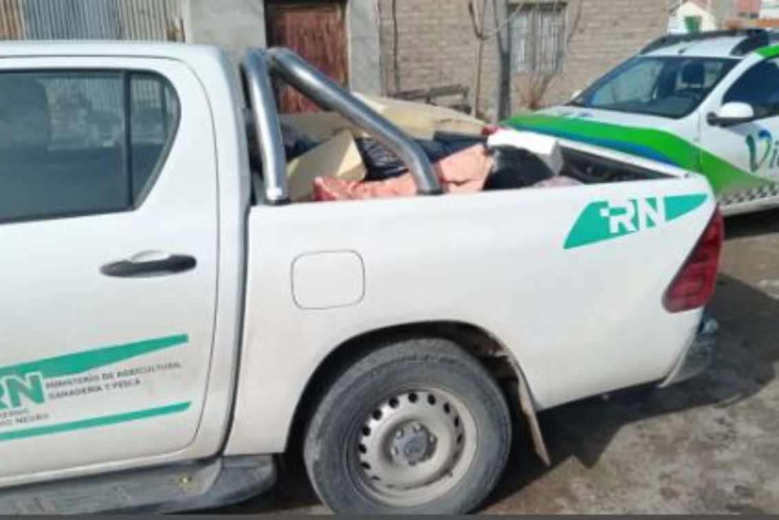 Decomisaron en Viedma más de 3.000 kilos de carne faenada de manera clandestina