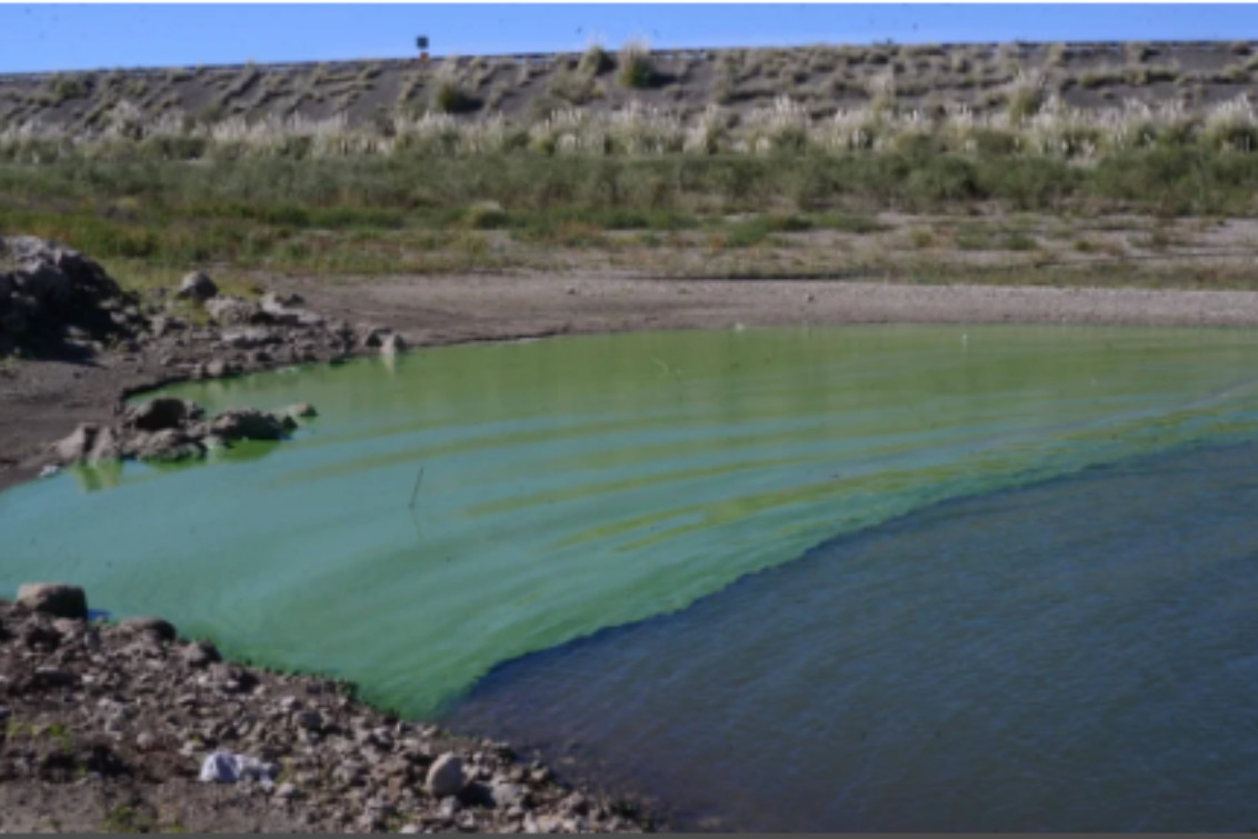 Por cianobacterias en el agua, la Provincia recomienda no pescar en el Dique Paso de las Piedras