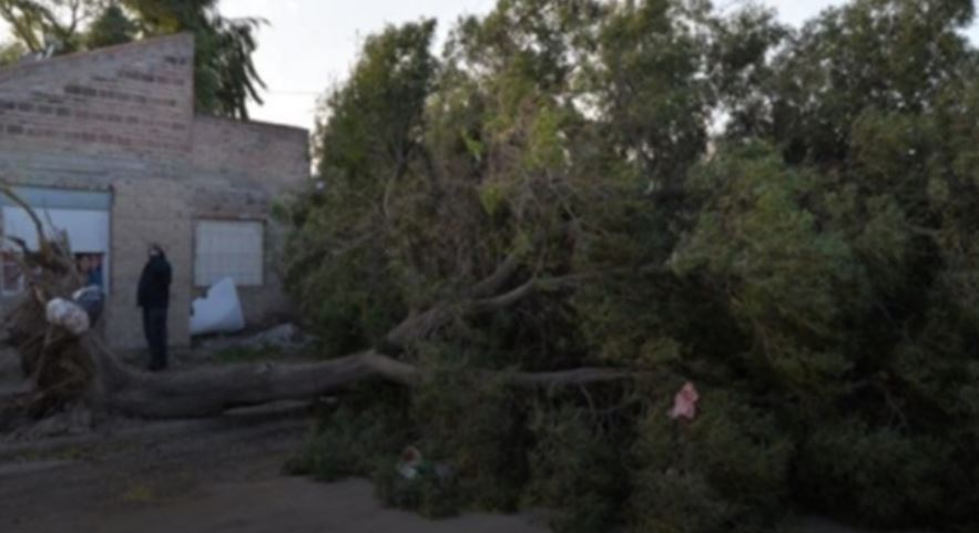 VIEDMA Y PATAGONES: El paso del temporal de viento dejó varios destrozos 