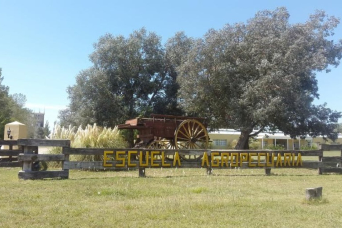 Coronel Suárez: Amenaza en dos escuelas, activan protocolos y piden calma