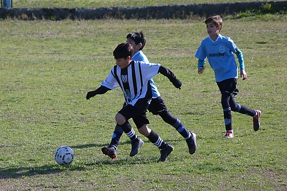 Fecha 12 sin campeones