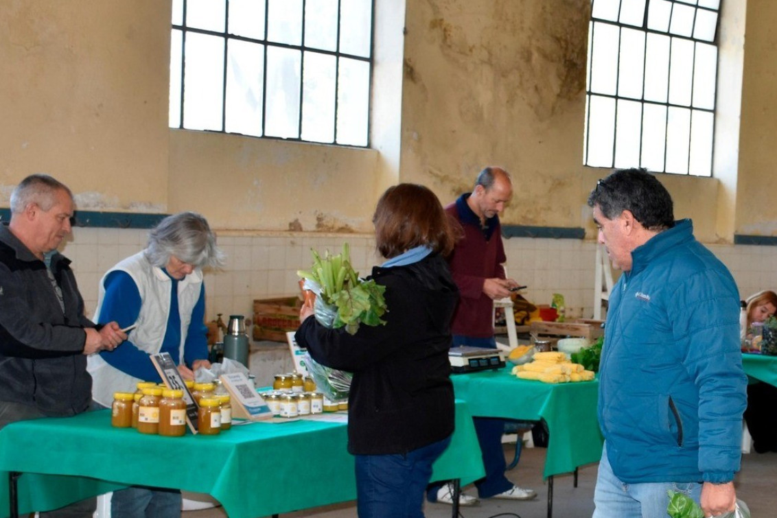  Vuelve el Mercado Productivo