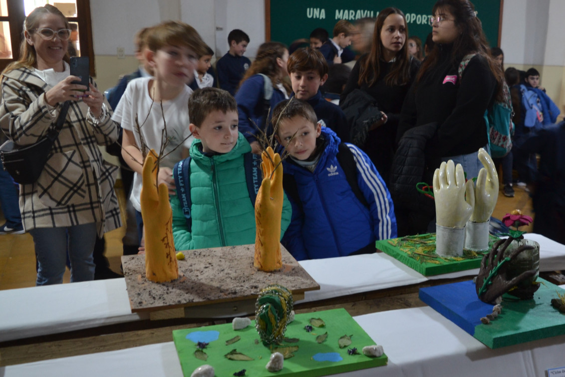 Creando Puentes: Un proyecto del Colegio Sagrado Corazón que une niveles y conciencia ambiental