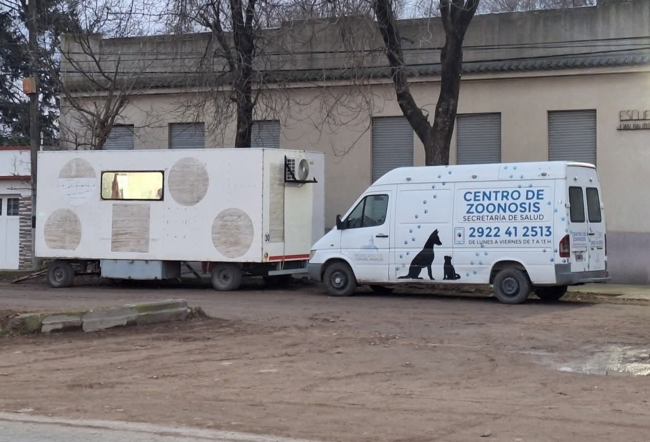  "Lo de los perros sueltos en la vía pública, es una temática muy compleja”