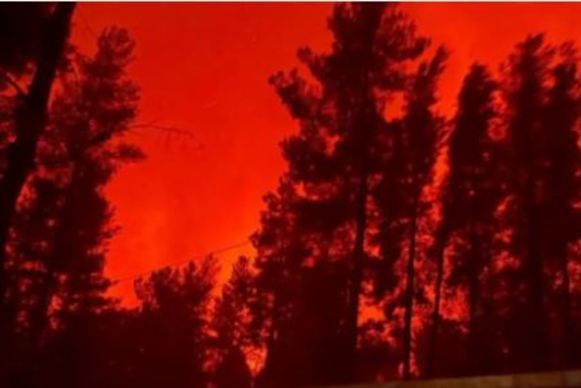 Acusan a Milei de “desfinanciar” el Servicio Nacional del Manejo del Fuego