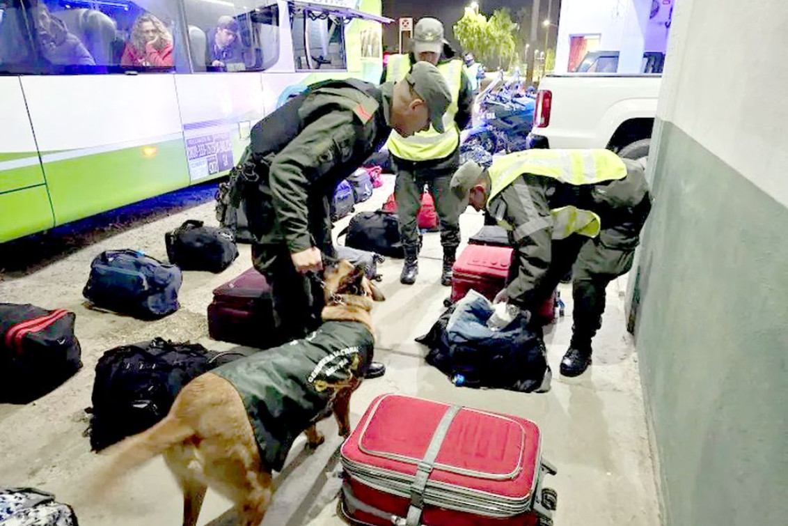   Drogas: Procesan a la mujer que llevaba droga en un micro detenida en Tres Arroyos