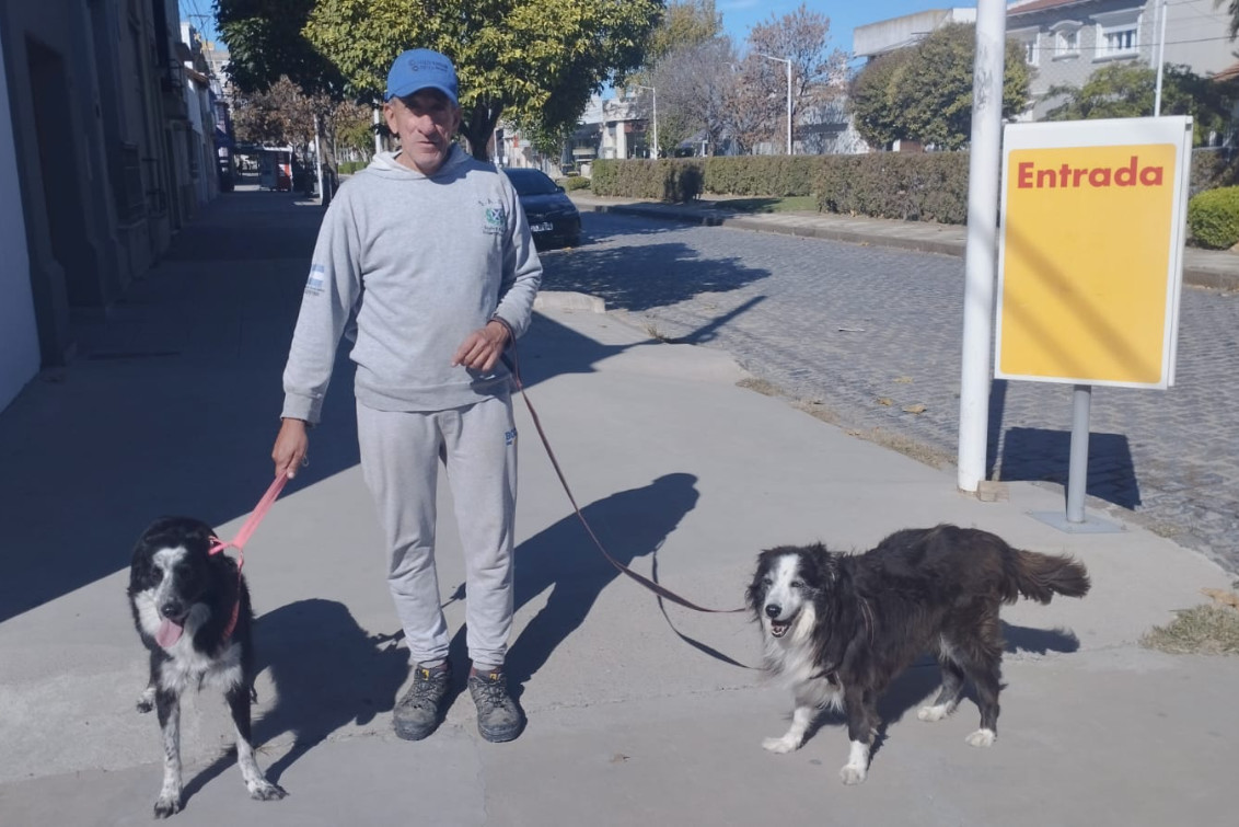  “Para mí los perros son como las personas”