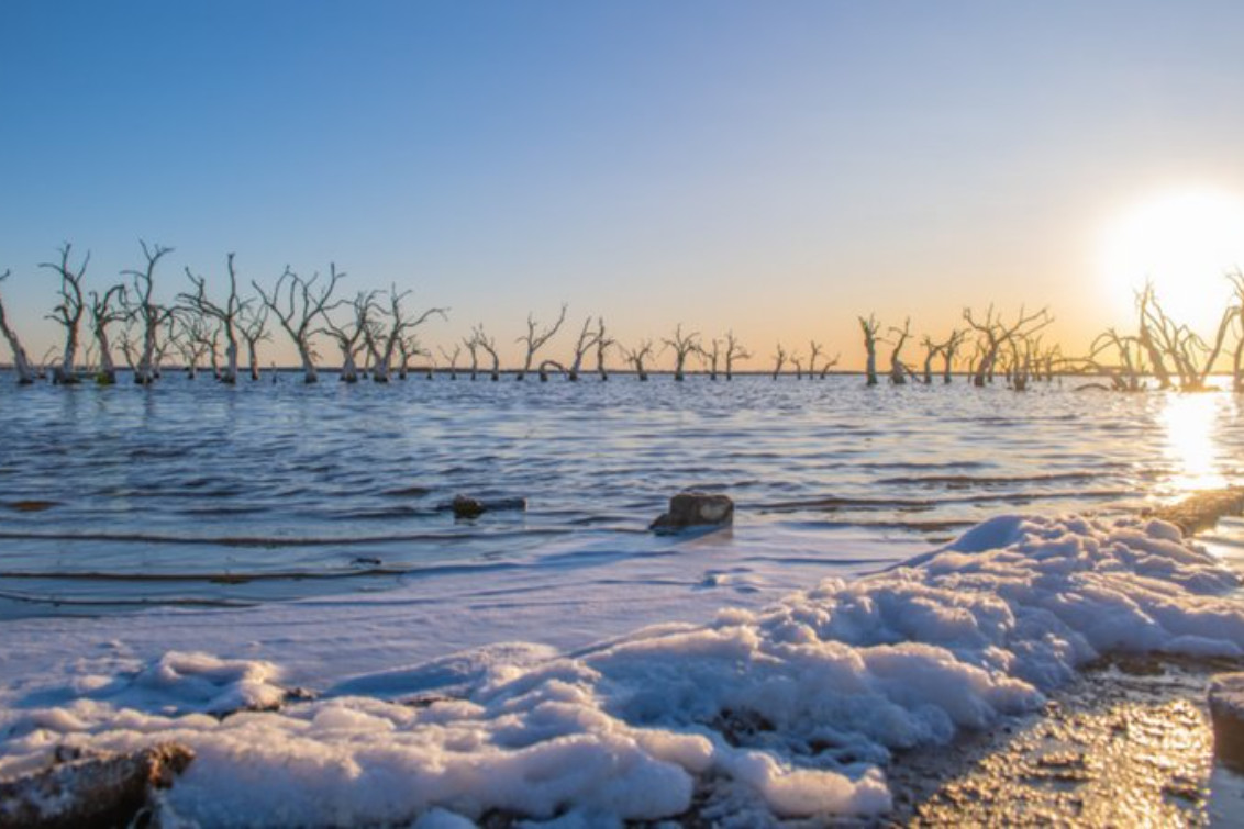  Inigualable: un manto blanco de sal tiñó la costa del lago Epecuén