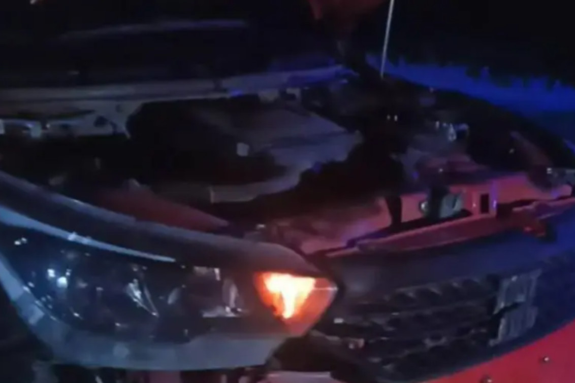 Río Negro: chocó contra jabalíes en la ruta y le destrozaron el auto