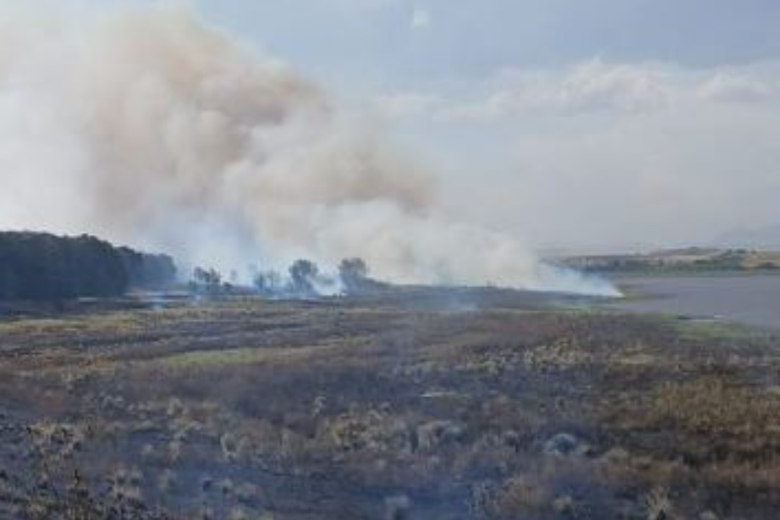 Controlan el incendio en cercanías del Dique Paso de las Piedras tras un intenso operativo regional