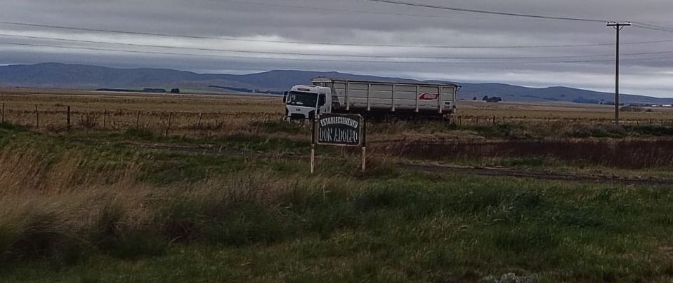Violento choque entre un automóvil y un camión en la Ruta 51 dejó dos personas heridas